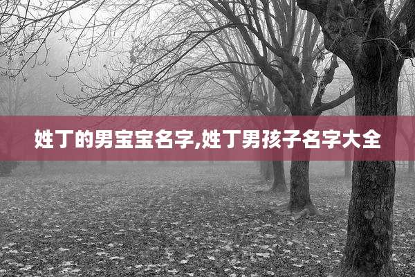 姓丁的男宝宝名字,姓丁男孩子名字大全