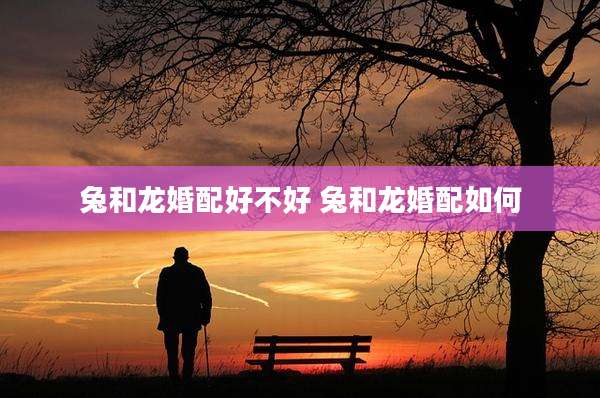 兔和龙婚配好不好 兔和龙婚配如何