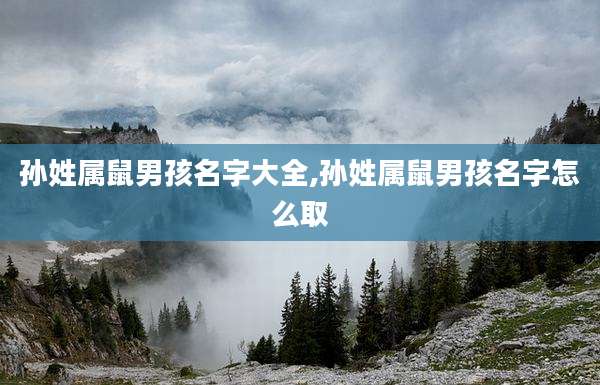 孙姓属鼠男孩名字大全,孙姓属鼠男孩名字怎么取