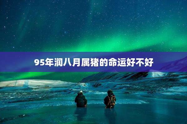 95年润八月属猪的命运好不好