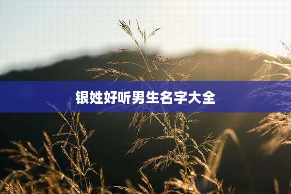 银姓好听男生名字大全