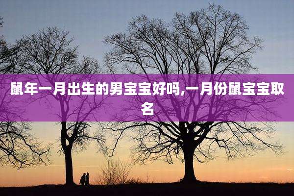 鼠年一月出生的男宝宝好吗,一月份鼠宝宝取名