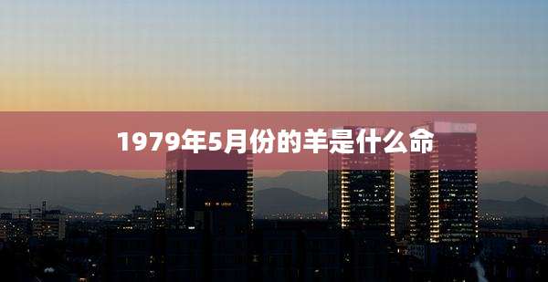 1979年5月份的羊是什么命