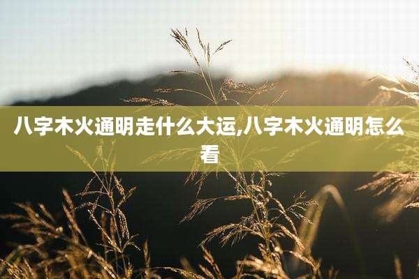 八字木火通明走什么大运,八字木火通明怎么看