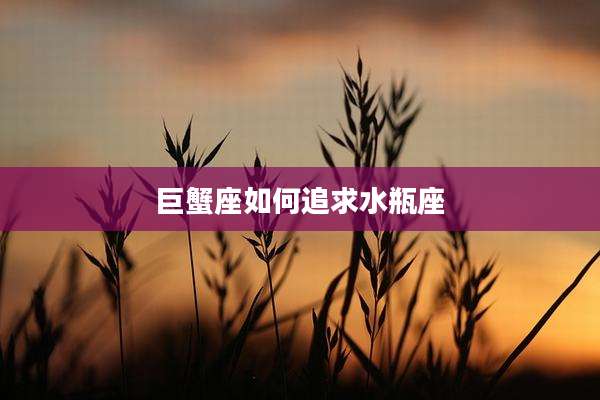 巨蟹座如何追求水瓶座