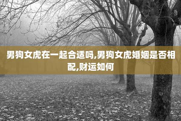 男狗女虎在一起合适吗,男狗女虎婚姻是否相配,财运如何