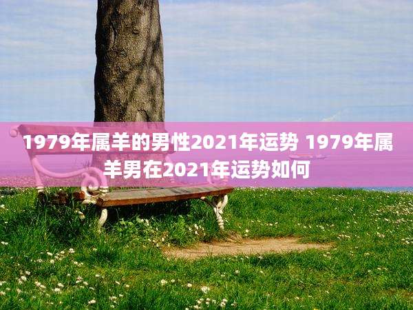 1979年属羊的男性2021年运势 1979年属羊男在2021年运势如何