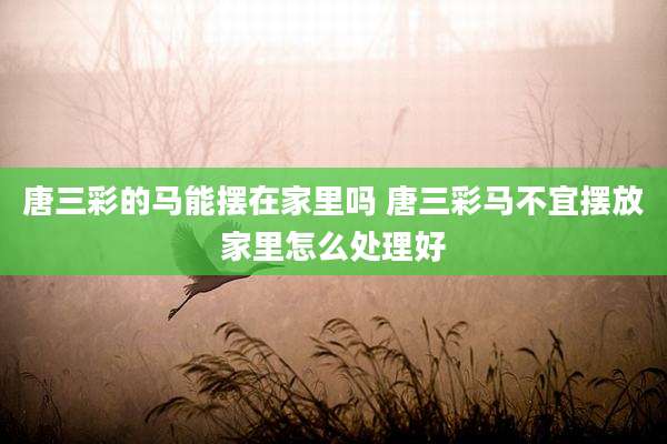 唐三彩的马能摆在家里吗 唐三彩马不宜摆放家里怎么处理好