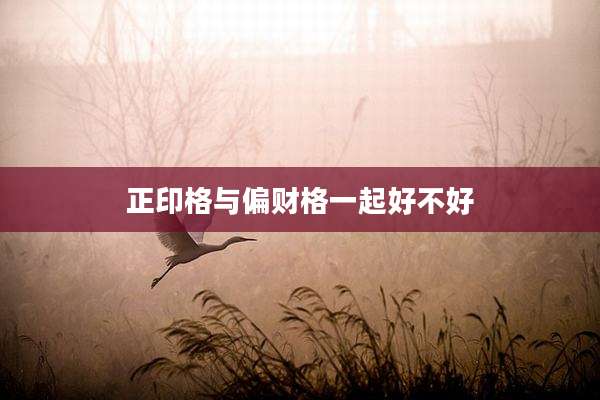 正印格与偏财格一起好不好