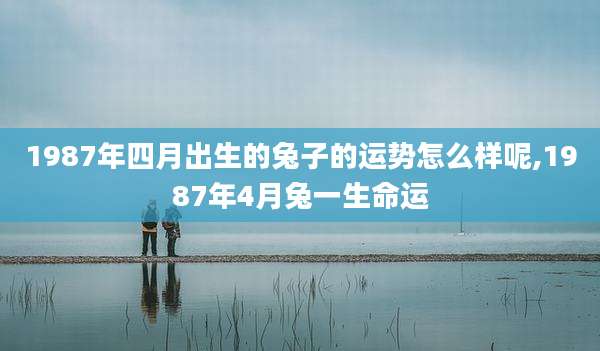 1987年四月出生的兔子的运势怎么样呢,1987年4月兔一生命运