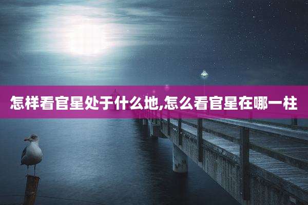 怎样看官星处于什么地,怎么看官星在哪一柱