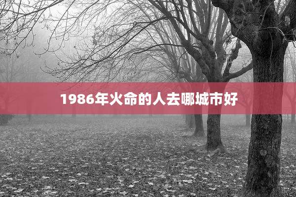 1986年火命的人去哪城市好