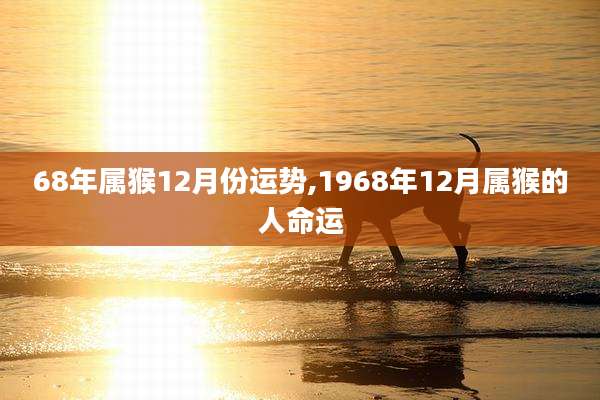 68年属猴12月份运势,1968年12月属猴的人命运