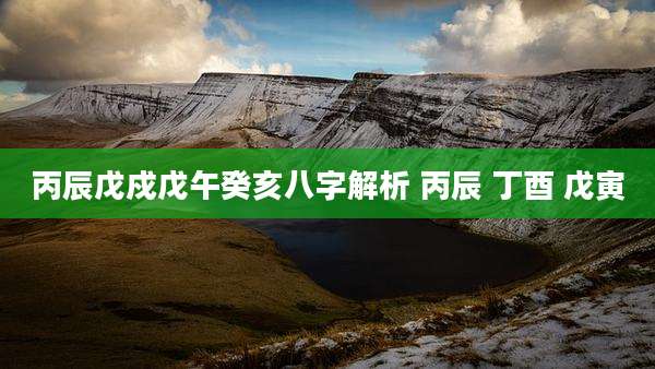 丙辰戊戍戊午癸亥八字解析 丙辰 丁酉 戊寅