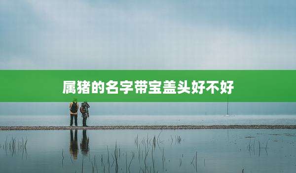 属猪的名字带宝盖头好不好