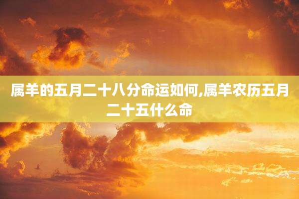 属羊的五月二十八分命运如何,属羊农历五月二十五什么命