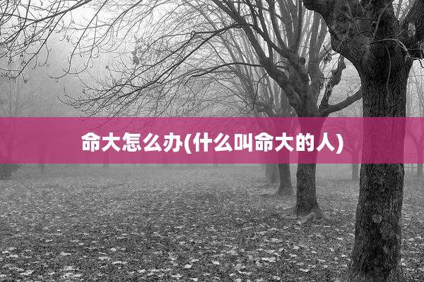 命大怎么办(什么叫命大的人)