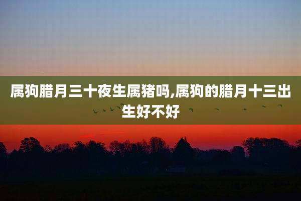 属狗腊月三十夜生属猪吗,属狗的腊月十三出生好不好
