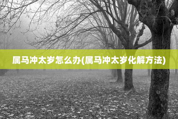 属马冲太岁怎么办(属马冲太岁化解方法)