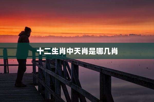 十二生肖中天肖是哪几肖