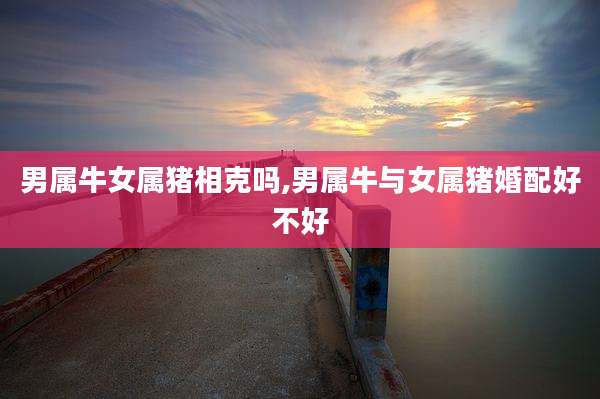 男属牛女属猪相克吗,男属牛与女属猪婚配好不好