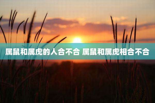 属鼠和属虎的人合不合 属鼠和属虎相合不合