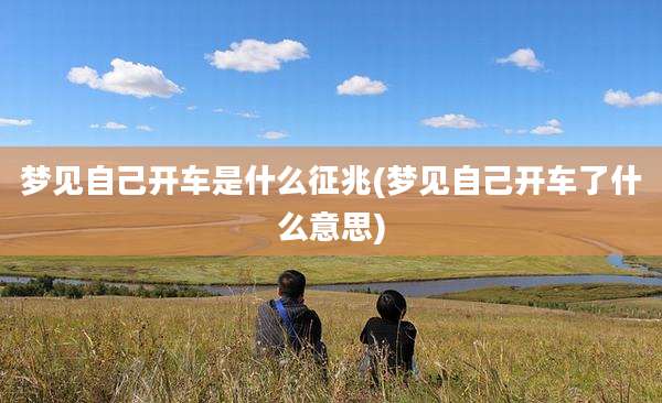 梦见自己开车是什么征兆(梦见自己开车了什么意思)