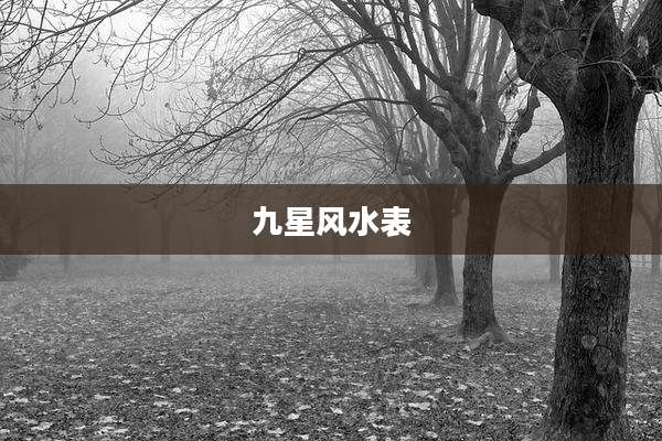 九星风水表
