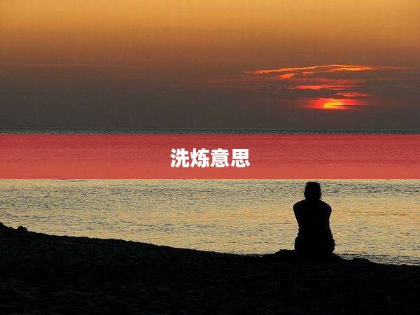 洗炼意思