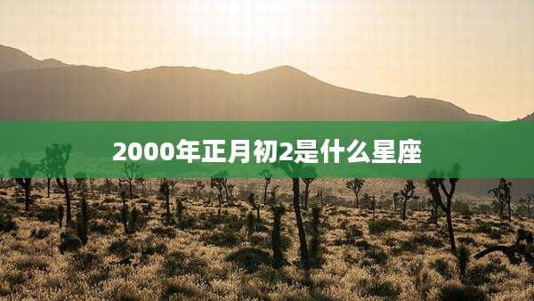 2000年正月初2是什么星座