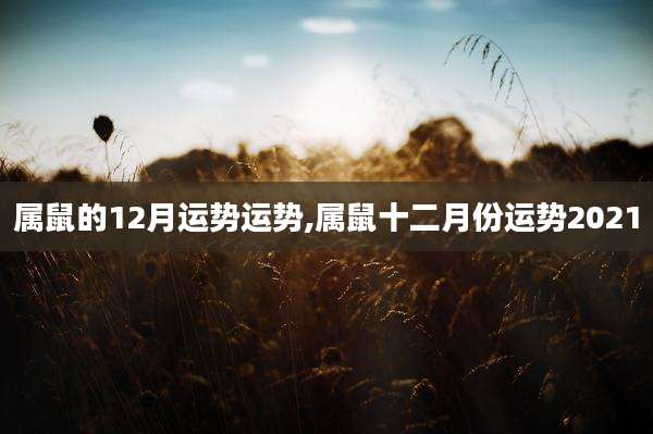 属鼠的12月运势运势,属鼠十二月份运势2021