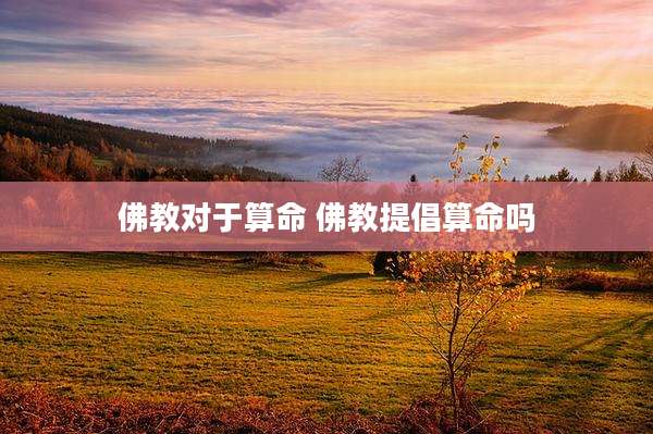 佛教对于算命 佛教提倡算命吗