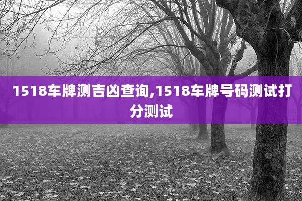 1518车牌测吉凶查询,1518车牌号码测试打分测试