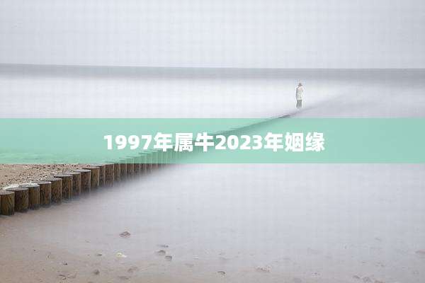 1997年属牛2023年姻缘