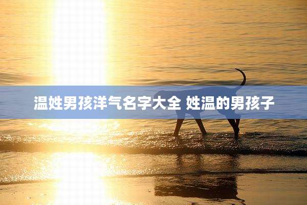 温姓男孩洋气名字大全 姓温的男孩子