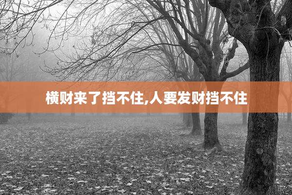 横财来了挡不住,人要发财挡不住