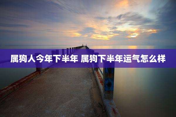 属狗人今年下半年 属狗下半年运气怎么样