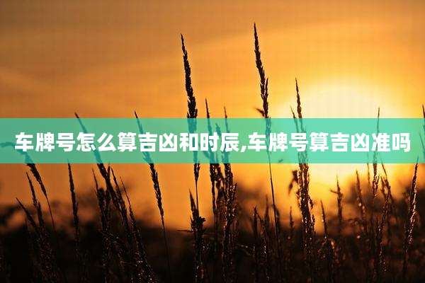 车牌号怎么算吉凶和时辰,车牌号算吉凶准吗