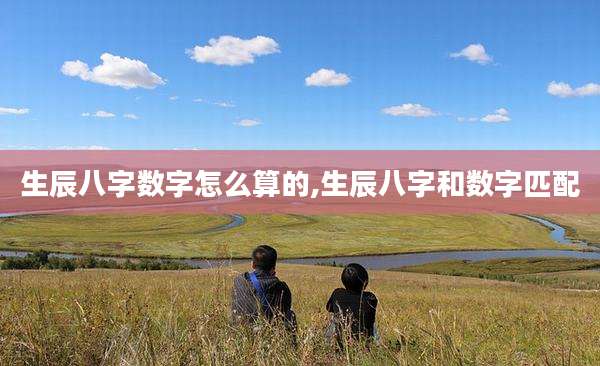 生辰八字数字怎么算的,生辰八字和数字匹配