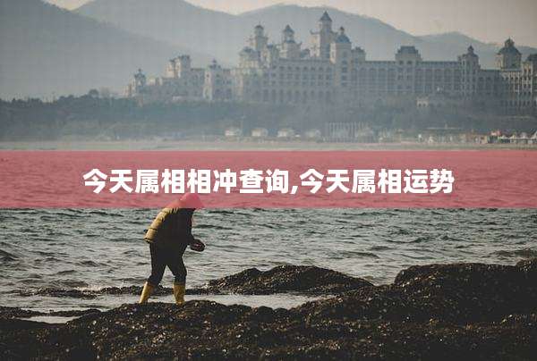 今天属相相冲查询,今天属相运势