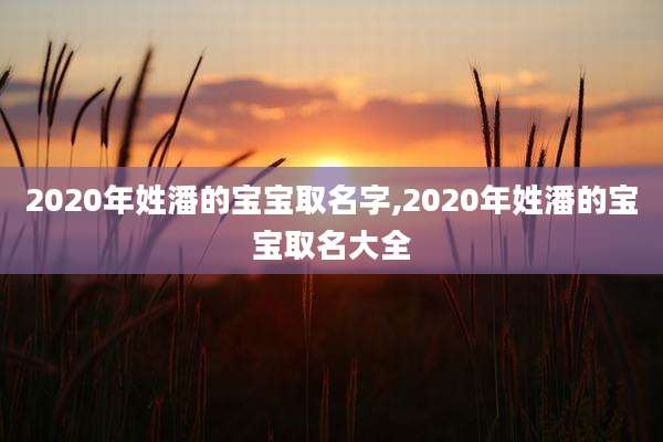 2020年姓潘的宝宝取名字,2020年姓潘的宝宝取名大全