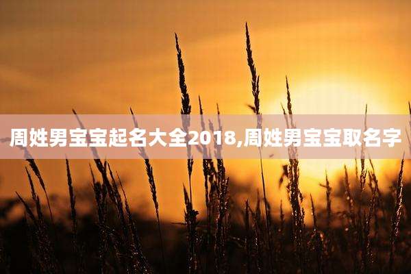 周姓男宝宝起名大全2018,周姓男宝宝取名字