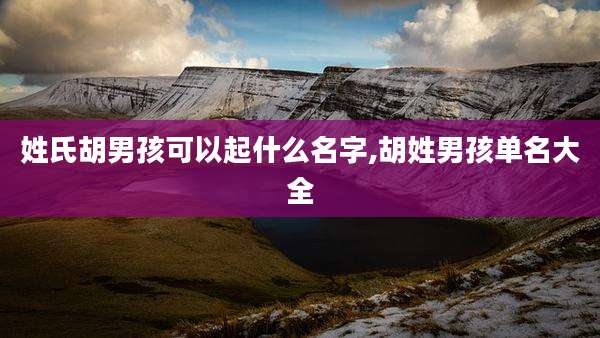 姓氏胡男孩可以起什么名字,胡姓男孩单名大全
