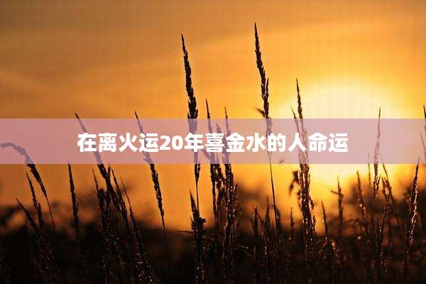 在离火运20年喜金水的人命运