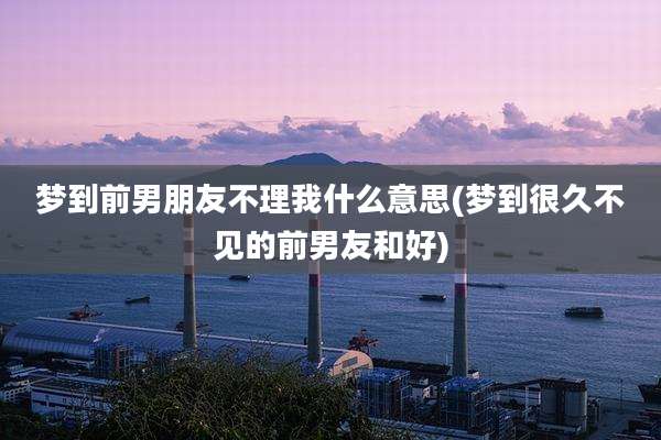 梦到前男朋友不理我什么意思(梦到很久不见的前男友和好)