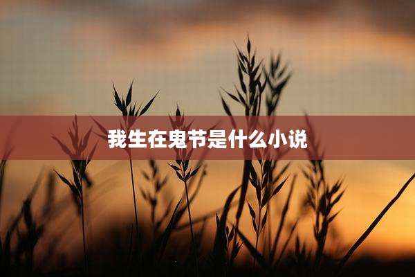 我生在鬼节是什么小说