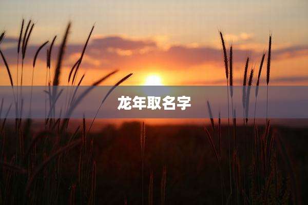 龙年取名字