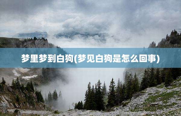 梦里梦到白狗(梦见白狗是怎么回事)