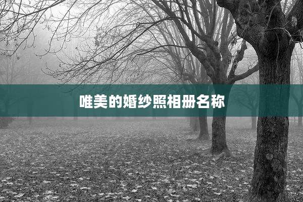 唯美的婚纱照相册名称