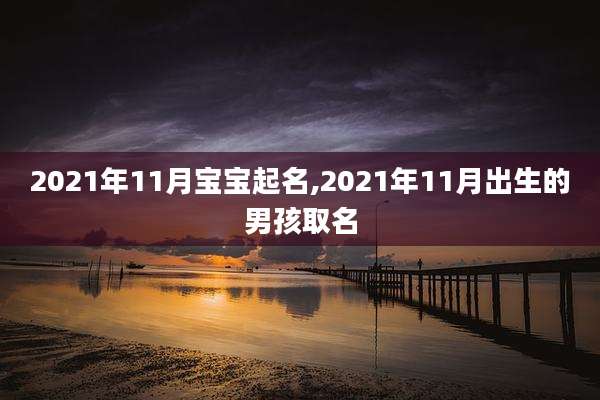 2021年11月宝宝起名,2021年11月出生的男孩取名